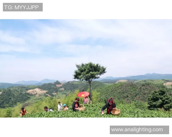 黄娜独家揭秘足球世界的精彩与挑战分享我的独特心得与见解